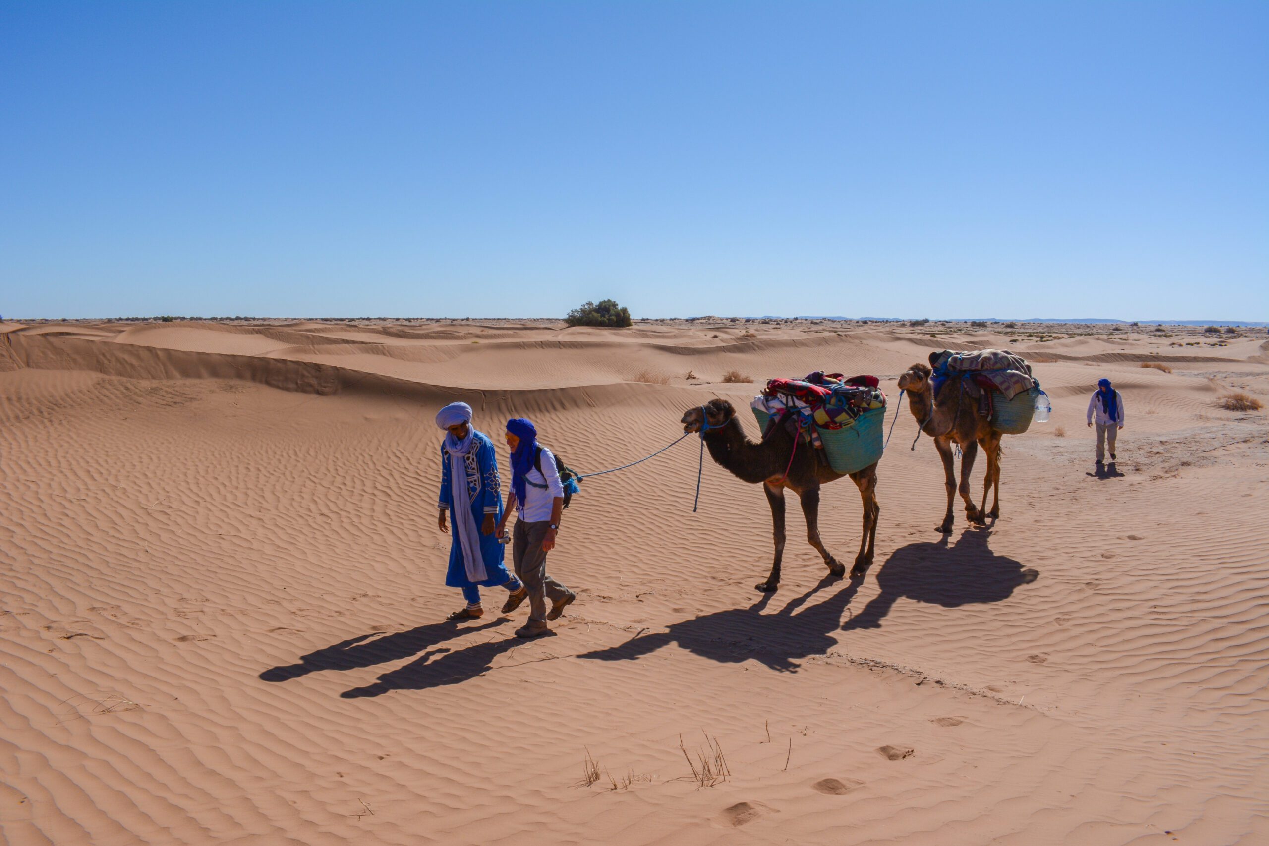 un nomade et un touriste marchent devant deux dromadaires au milieu des dunes