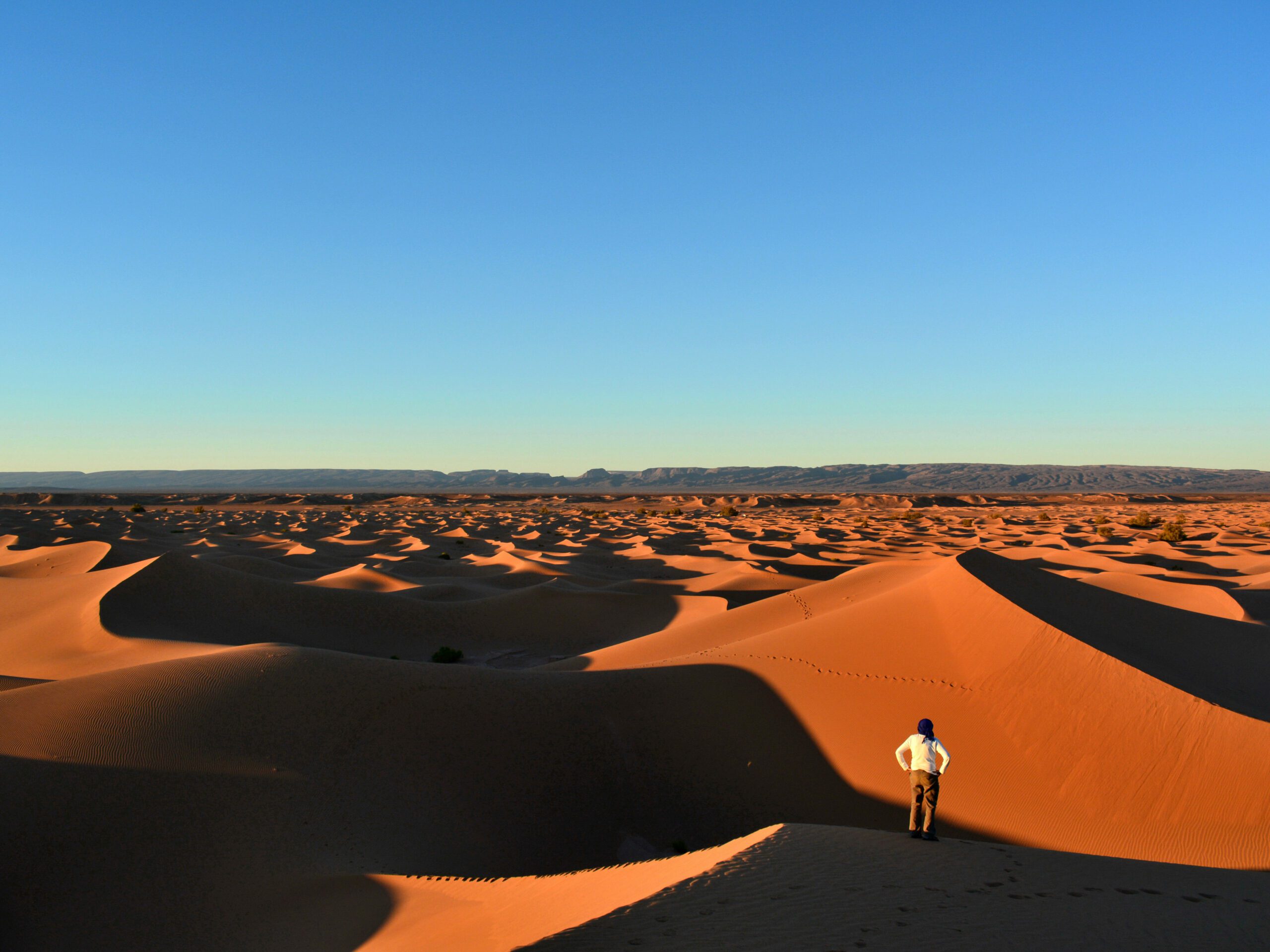 trek désert : contemplation devant l'infinité des formes des dunes