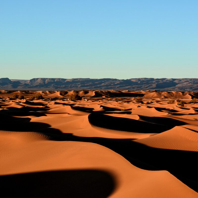 paysage de dunes oranges
