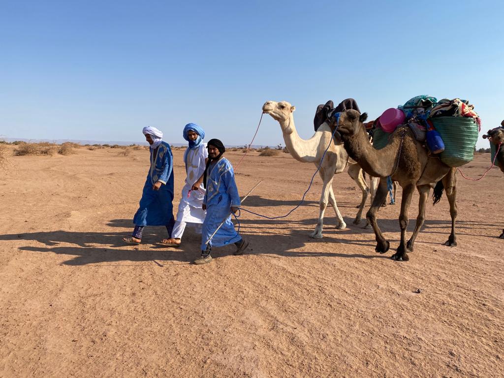 Nomades marchant dans le désert
