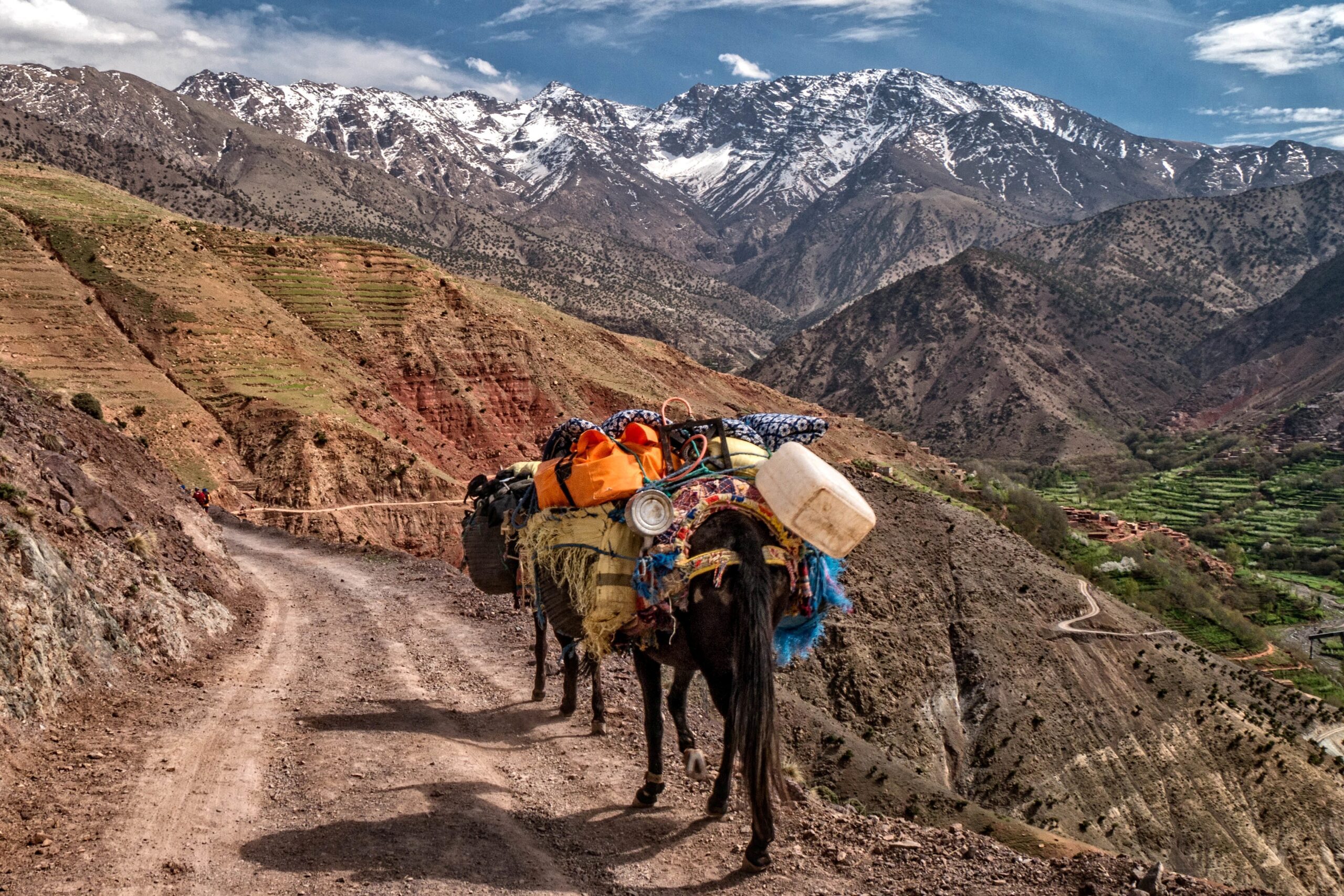 caravane de mules trek Atlas