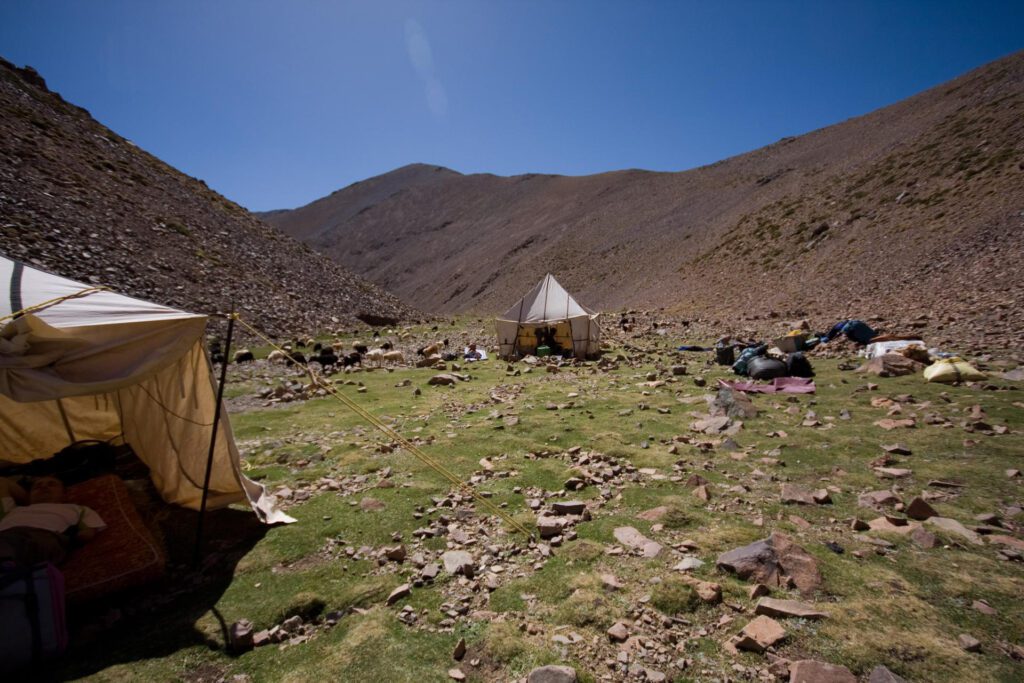 Racines du desert bivouac trek Atlas