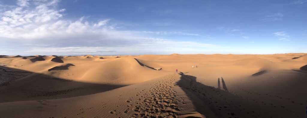 Dunes de sable : panorama pour une expérience nomade